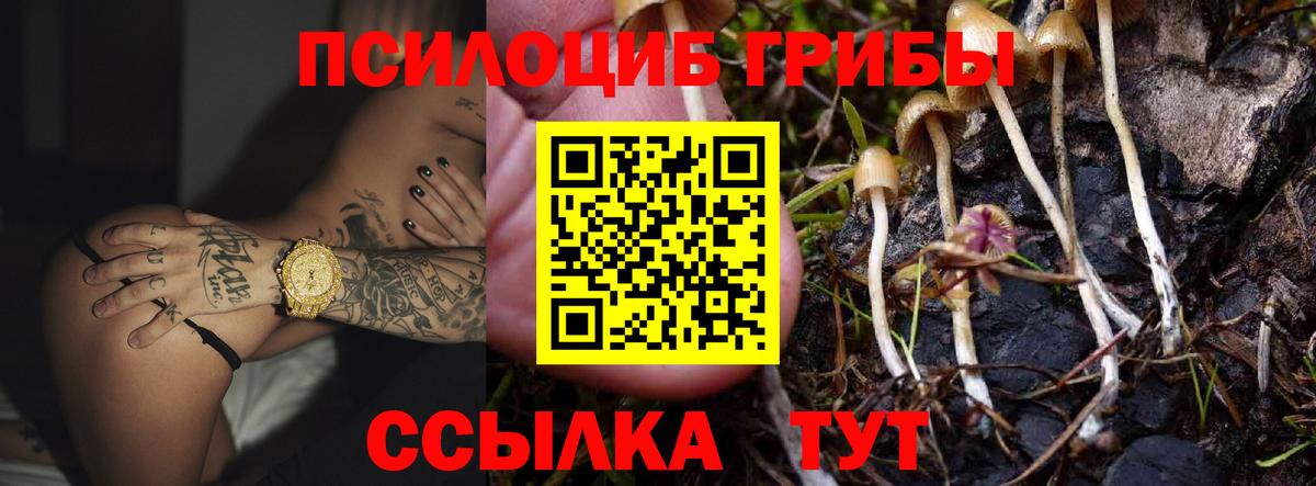 Галлюциногенные грибы ЛСД Белогорск