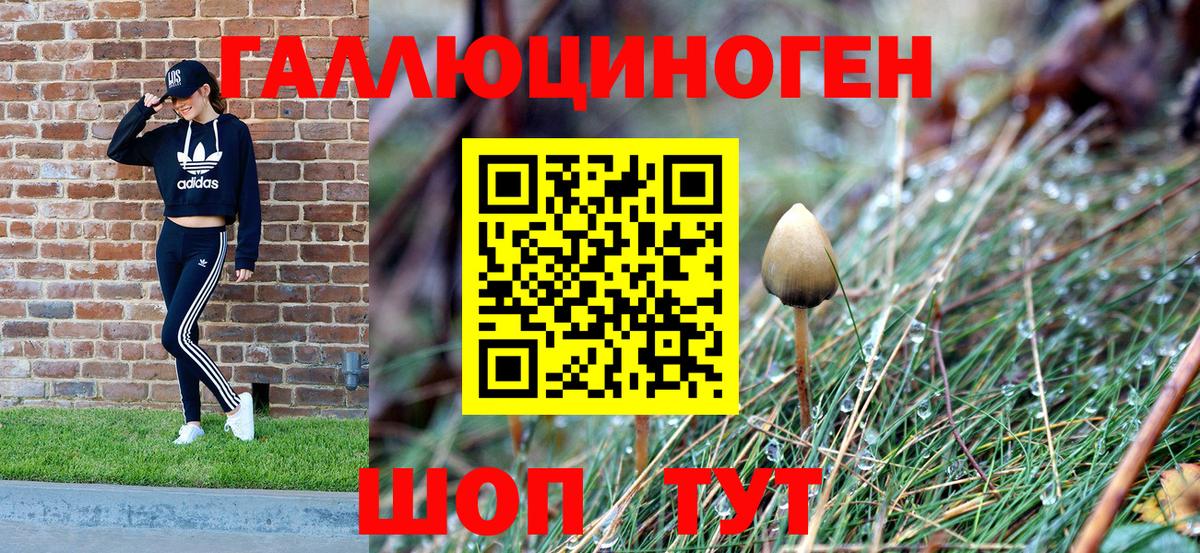 Белогорск  Галлюциногенные грибы Psilocybe  Вход с VPN  Псилоцибиновые грибы мицелий 